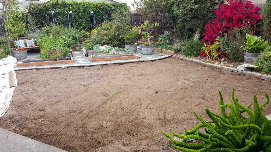 Prepared soil after turf removal